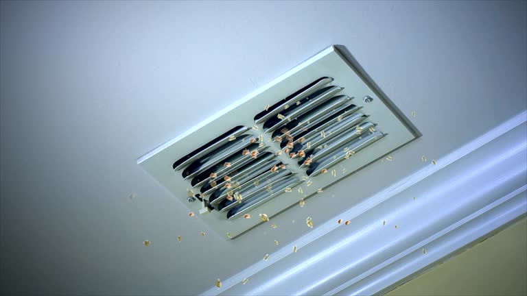 Best Air Duct Cleaning Near Me  in Skokie, IL