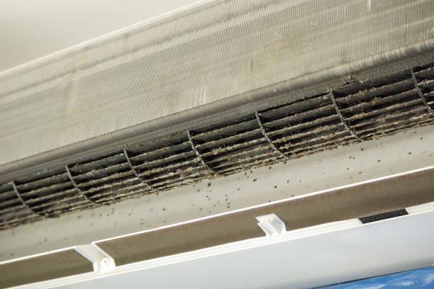 Best Air Duct Cleaning Near Me  in Skokie, IL